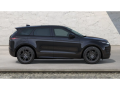 resized_307503690667438a30fc33.png